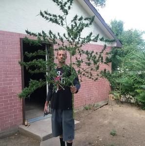 Meet your Posher, Jd